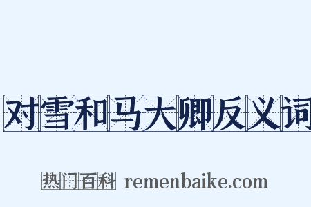 对雪和马大卿反义词是什么意思的图片